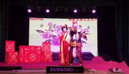高甲戏《仇鸾》在线观看下载 - 闽南传统戏曲精彩演绎