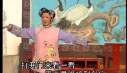 斑鸠接姐姐
