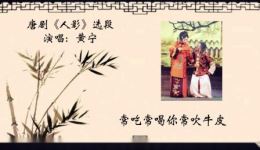唐剧《人影 我成婚多年》在线观看 黄宁饰演金氏高清戏曲资源下载