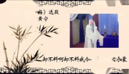 唐剧《秦雪梅.秦雪梅见夫灵》高清下载 黄宁倾情演绎 经典唱段全收录 唐剧《秦雪梅.秦雪梅见夫灵》高清下载 黄宁倾情演绎 经典唱段全收录