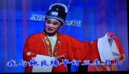 扬剧《哑女告状》中集在线观看 扬州市扬子江扬剧团演出高清资源下载