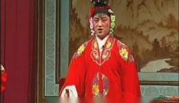 即墨柳腔《胡林抢亲》全场下载｜张成林华学红王承安主演正版双碟VCD｜山东非遗戏曲资源下载