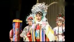 樊梨花征西