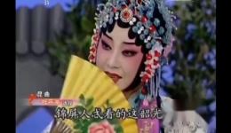 昆曲《牡丹亭·游园》史红梅主演经典片段，高清下载，领略东方爱情神话