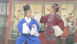 扬剧《珍珠塔》选场经典唱段演绎，方卿姑母恩怨与励志传奇在线看