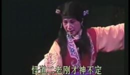 淮剧《腊月雷》全剧高清下载｜上海淮剧团经典剧目，陆少林等名家演绎，速存！下载