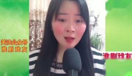 淮剧《珍珠塔》选段在线观看下载，经典戏曲资源一站式获取