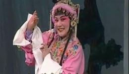 听杜鹃声声啼渔樵远唱