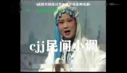 皮秀英四告