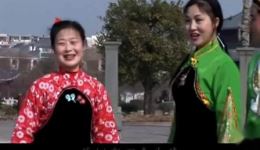 赣南采茶戏《花采茶》全集下载 - 正宗客家非遗采茶戏资源