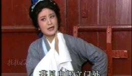 越剧经典《庵堂认母》王文娟赵志刚精彩演绎，感人母子情深在线下载下载