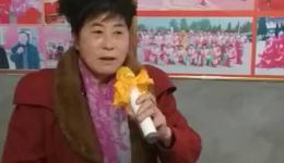 贞娘怨