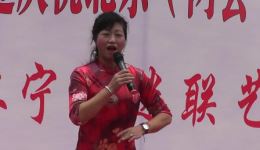 孔雀东南飞