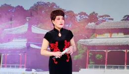 杨宗宝招亲