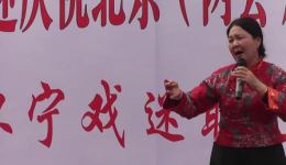 黄梅戏《女驸马》选段下载，何学芳精彩演绎，经典戏曲资源免费获取下载