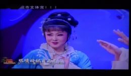 黄梅戏《天仙配》选段程丞曹祝来精彩演绎，经典唱段在线下载下载