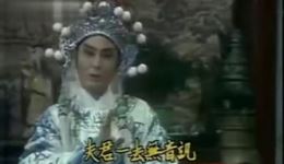 白兔奇缘
