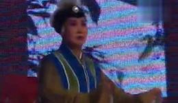 同根异果