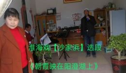 淮海戏《沙家浜》选段《朝霞映在阳澄湖上》韦凤高演唱，经典戏曲在线下载下载