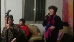 吕剧《潘金莲》选段在线观看，经典吕剧名段免费欣赏
