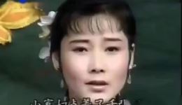 小寡妇上坟