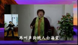 河南坠子《白海棠》高清资源下载，张秀荣经典演绎，孝道故事感人至深