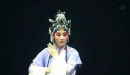 双蝶扇.沉吟