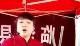 少侠包公案