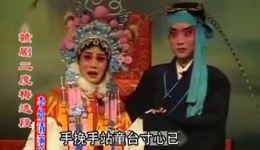 二度梅
