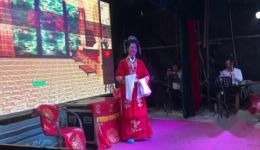 宁都采茶戏《十月怀胎》高清资源下载｜上官桂青经典演绎，母爱主题戏曲在线获取下载