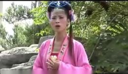 赣南采茶戏《私怀胎》在线观看下载，经典传统戏曲资源