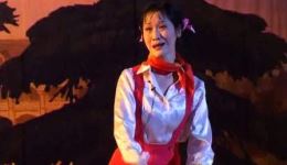 萍乡采茶戏《黄海怀》上，传统与现代结合的地方经典戏曲资源下载