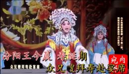 宛梆《打金枝》选段及伴奏下载，经典戏曲资源免费获取