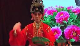 荆州花鼓戏《站花墙》摘花片段下载,经典地方戏曲资源 荆州花鼓戏《站花墙》摘花片段下载,经典地方戏曲资源