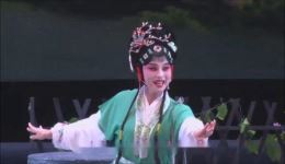 明月情