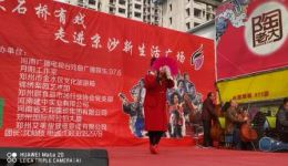 豫剧经典《抬花轿》在线观看下载，丁艳红精彩演绎，领略传统戏曲魅力下载