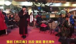 豫剧《桃花庵》选段在线观看，王晓玉精彩演绎，高清戏曲资源下载