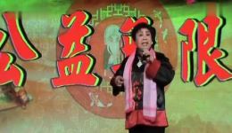 豫剧《红楼梦》王素君经典唱段下载这才是铁树开花石榴红下载