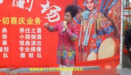 豫剧《秦雪梅》选段丁淑兰演唱，经典悲情戏曲在线下载，重温传统韵味下载