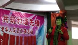 双蝶扇