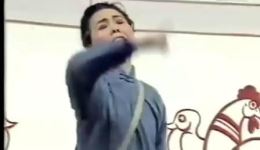 一对凤凰鸡
