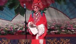 枣梆经典《蝴蝶杯》张文英精彩演绎，田玉川洞房独白片段在线观看
