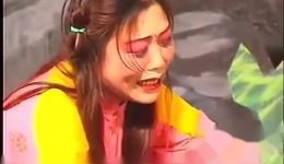 苦菜花