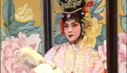 楚剧《访友》汪玲陔标清版下载 - 经典戏曲资源在线观看下载