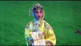 汉调二黄经典折子戏《二进宫》在线观看，崔琪奇刘雅雯演绎，非遗传统曲艺精彩呈现下载