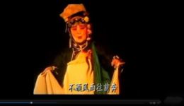 合银牌