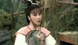 杨丽花主演歌仔戏《新狄青（2）》高清下载｜经典励志狄青传奇，畅享传统戏曲魅力下载