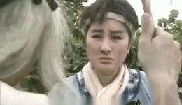杨丽花主演歌仔戏《新狄青》高清下载，经典北宋名将励志成长大戏下载