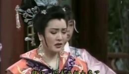 杨丽花主演歌仔戏《新狄青》全集下载，经典北宋名将励志故事戏曲资源下载