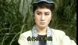 杨丽花经典歌仔戏《新狄青》在线观看北宋名将励志成长，忠勇故事精彩呈现下载